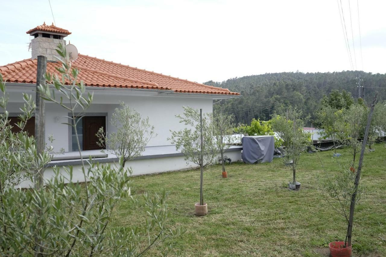 Casa Do Aido De Cima Villa Vale de Cambra Dış mekan fotoğraf