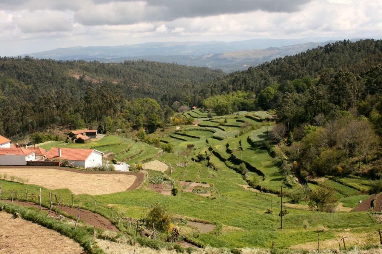 Casa Do Aido De Cima Villa Vale de Cambra Dış mekan fotoğraf
